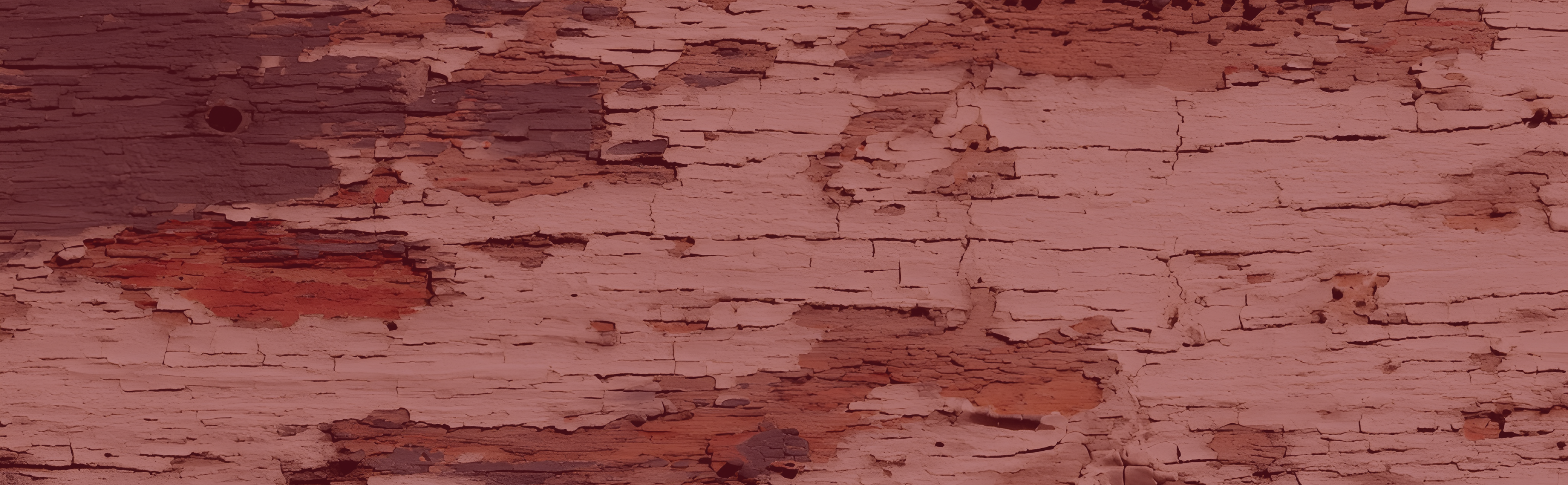 Dan Duddy — character formation coach, mentor, and speaker